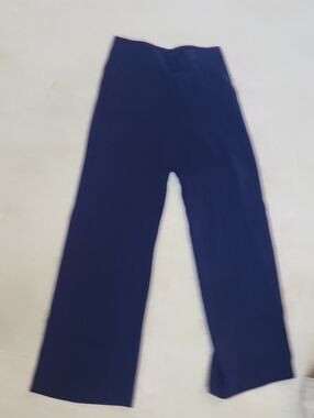Express Navy Wide-Leg Pants